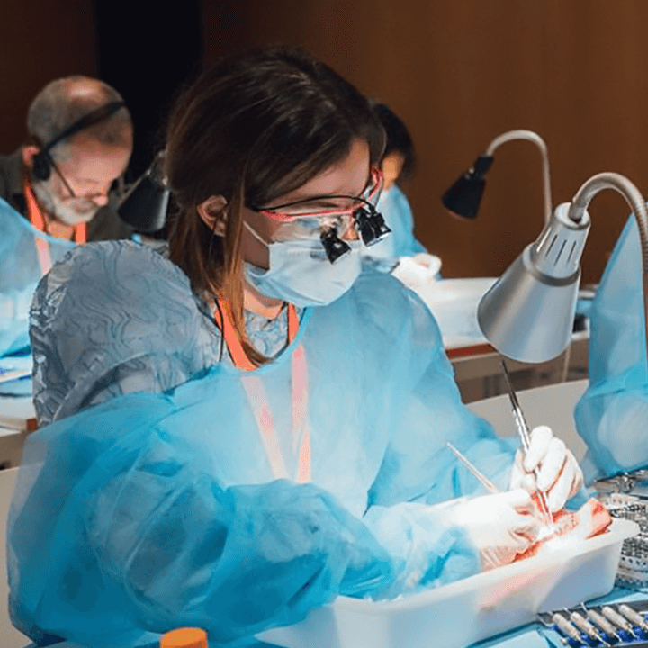 Biohorizons Cursos presenciales y virtuales - Imagen