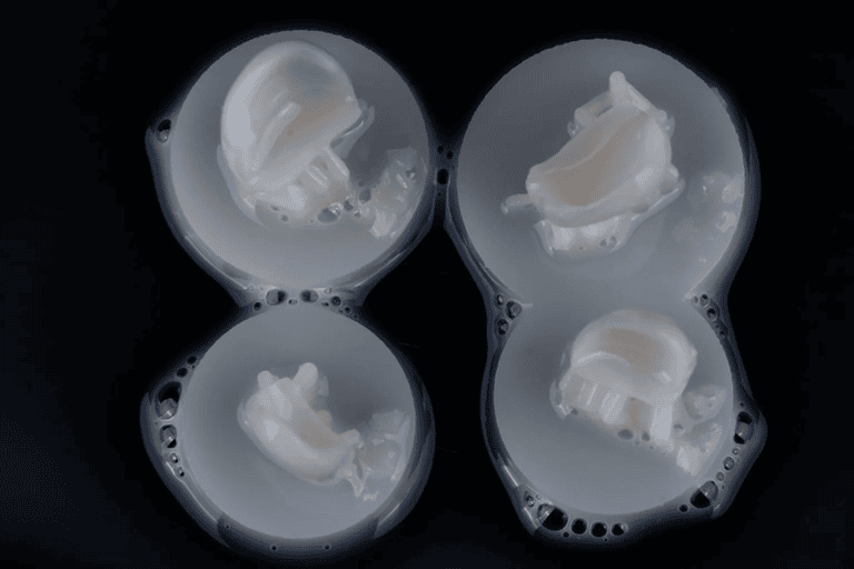 DDS State of the Art Conference - Bioprinting in Medicine Unlocked - Header image